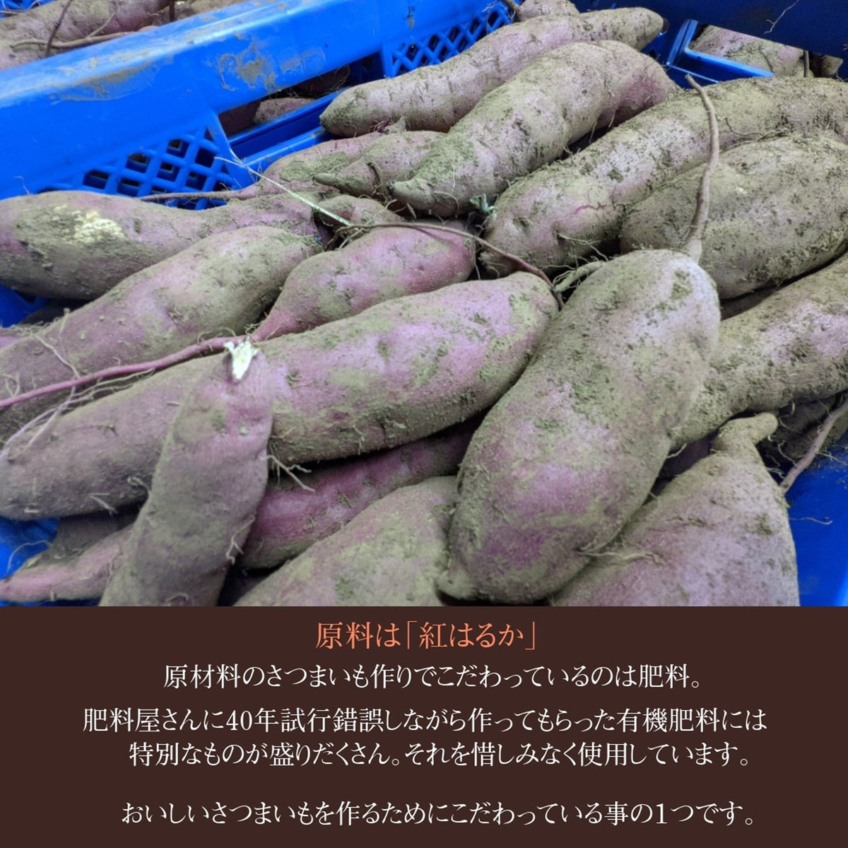 干し芋 【GOVタカノ】 干芋 平干し 2kg 家庭用 茨城県 《1/上旬