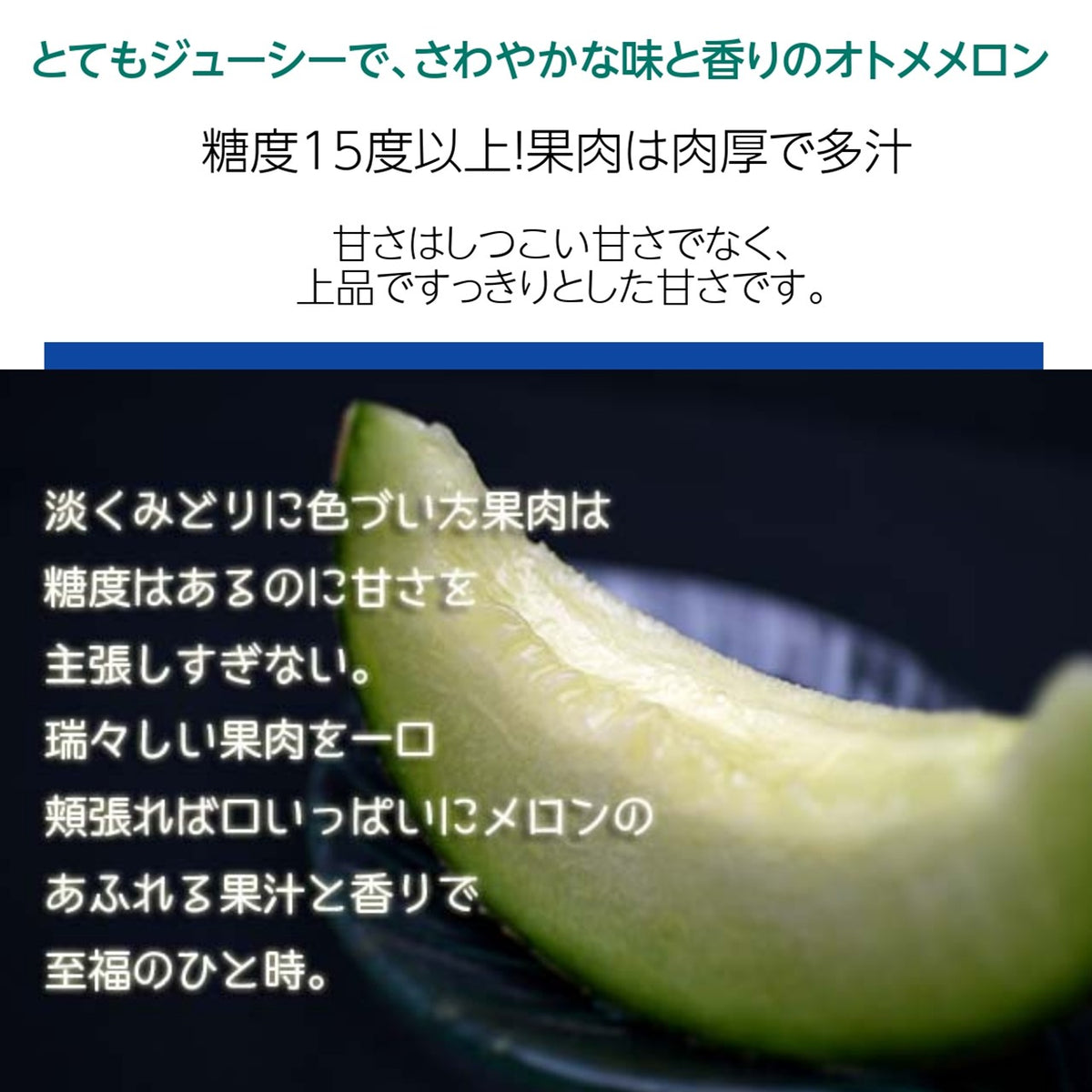 生産量日本一！　茨城県産　オトメメロン　2L 5玉セット　秀品！ メロン 【OTM出荷組合】 メロン オトメメロン 2玉 2L 糖度15度