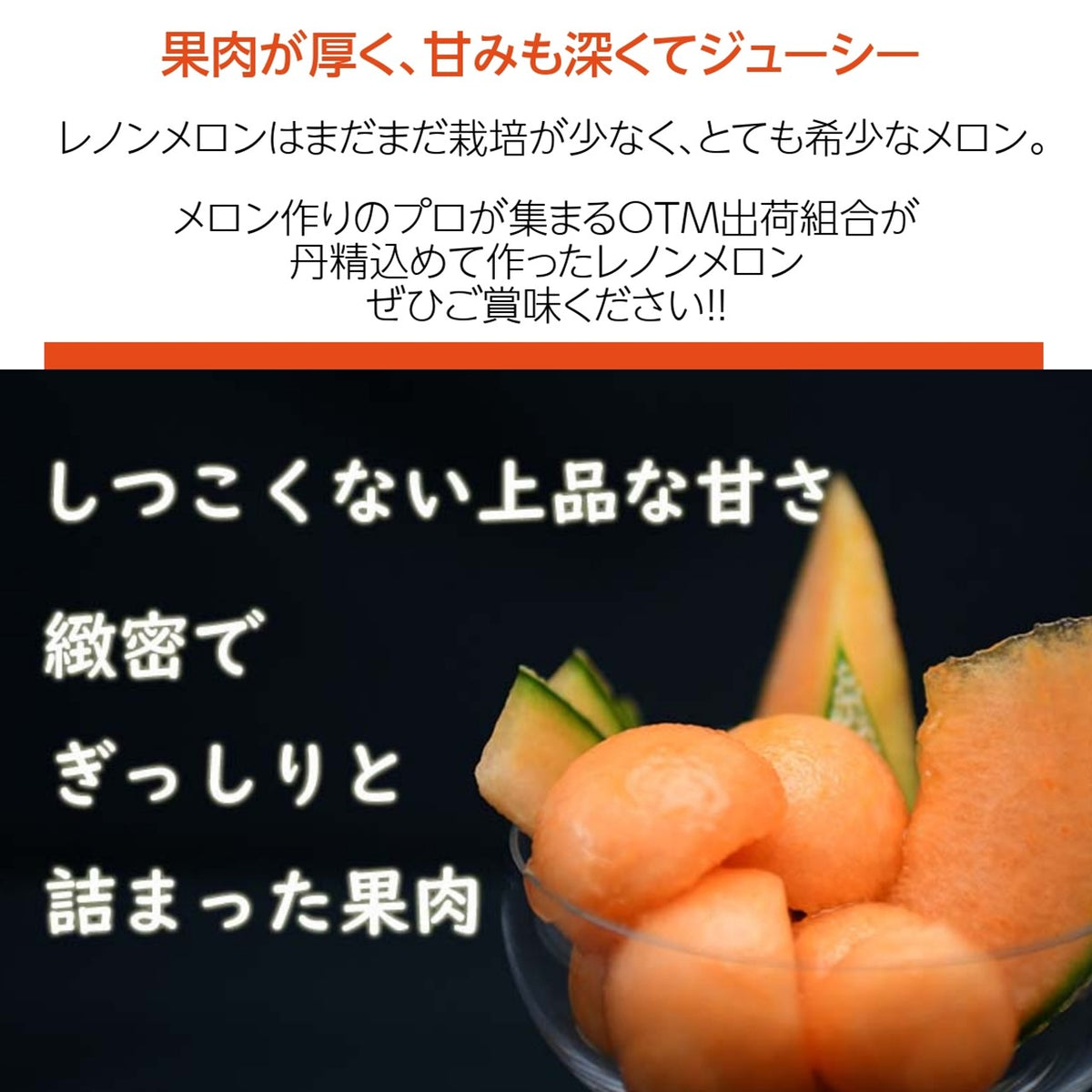 メロンの生産量日本一！　茨城県産　高級赤肉メロン　レノンメロン　6玉セット　秀品 メロン 【OTM出荷組合】 レノン 2L 2玉 糖度15度以上 贈答用 父