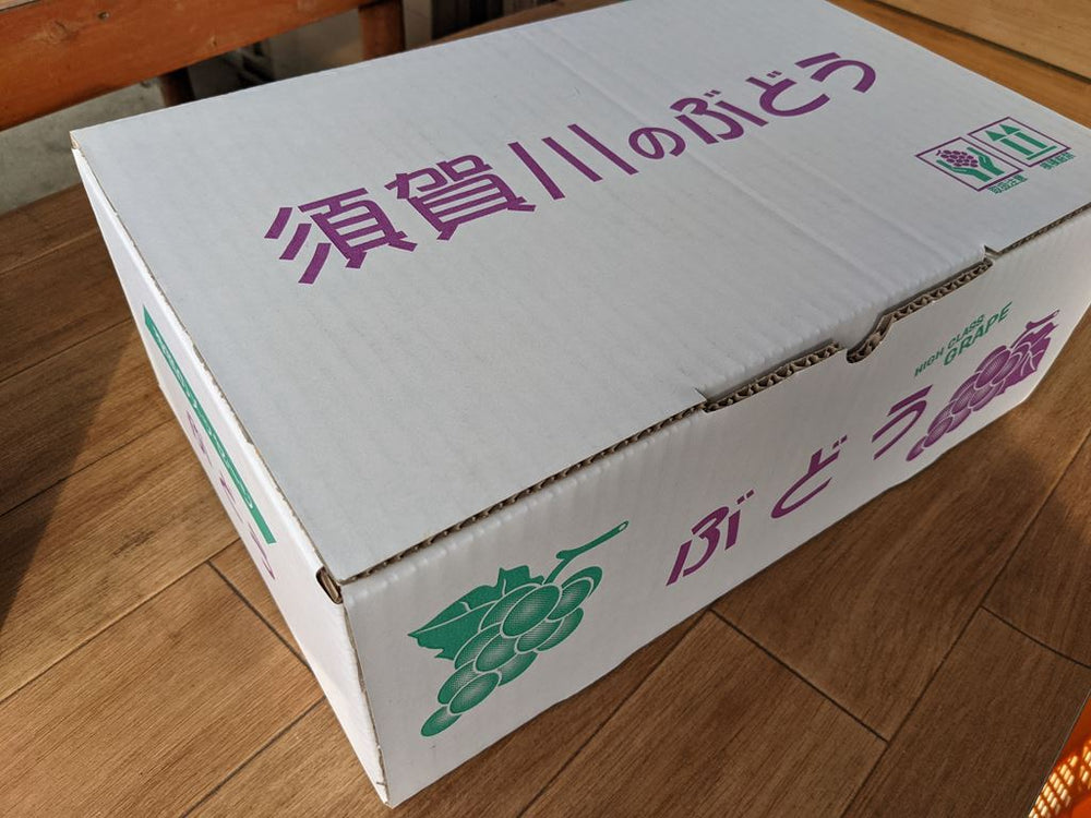 お歳暮・冬ギフト特集 2025 人気ランキング ぶどう 福島県 贈答用 3〜4房 2kg あづましずく 【佐藤果樹園】 下着・アンダーウェア