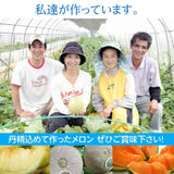 メロン 【方波見農園】 むつみレッド イバラキング クインシー どれか1種 5kg 3～5玉 糖度16度以上 贈答用 母の日 父の日 茨城県鉾田市 《4/下旬～5/上旬より出荷》