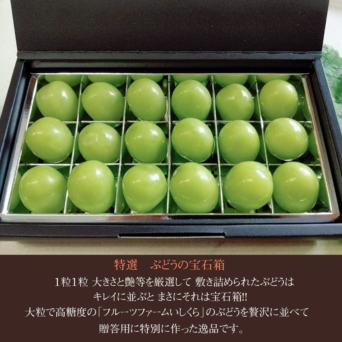 【藤紫】山梨県産A,Sa,Mの粒　箱込1kg弱（最終発送） 山梨県産他 シャインマスカット 2房（約950g） – ハヤシフルーツ