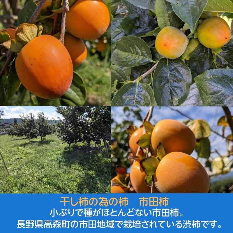 干し柿 【市田屋】 市田柿 ２L 1kg 約30粒 ご家庭用 長野県 高森町  干柿 ころ柿 枯露柿《12/15頃～下旬より出荷》