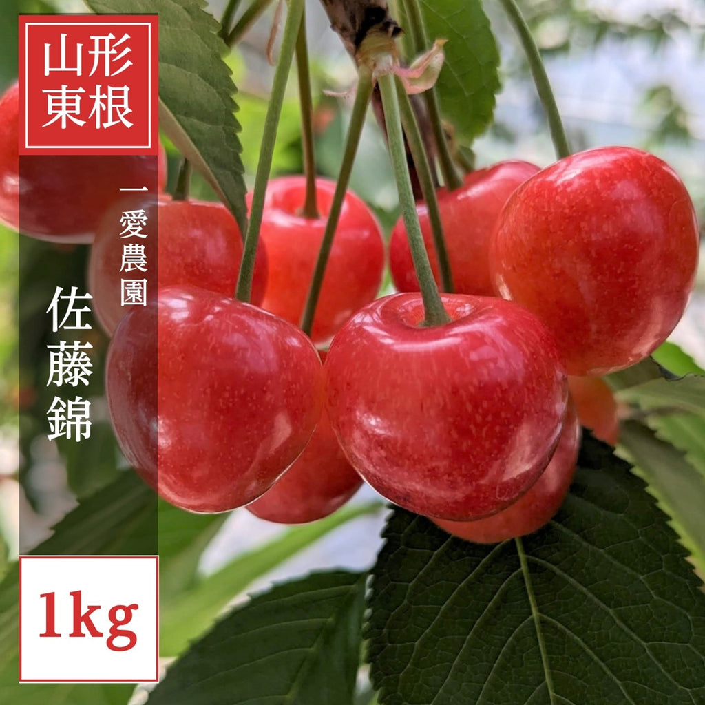 さくらんぼ 【一愛農園】 佐藤錦 1kg 秀 M/L 山形県東根市《6/中旬～6/下旬の出荷》 – にこやか産直アーケード