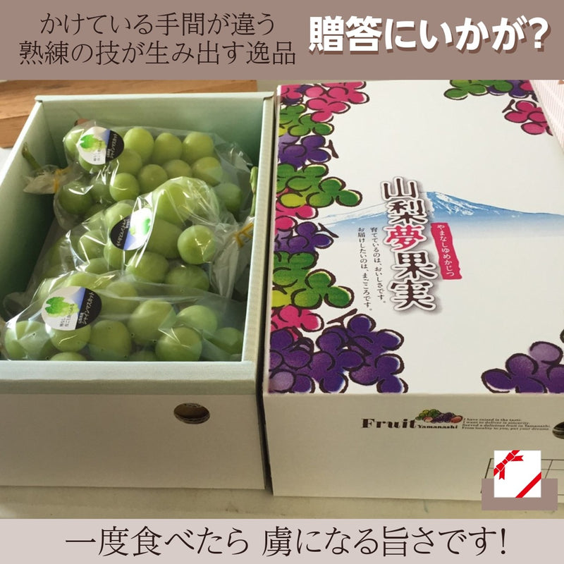 【ﾌﾙｰﾂﾌｧｰﾑいしくら】ぶどう シャインマスカット 3房 大粒 超大房 2.4kg 高糖度 山梨県 贈答 ギフト プレゼント 《2023年8月中旬出荷》
