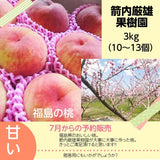 桃 【箭内厳雄果樹園】 もも ３kg　10～13玉 品種おまかせ 福島県 贈答用 《7月下旬～8月上旬から出荷》