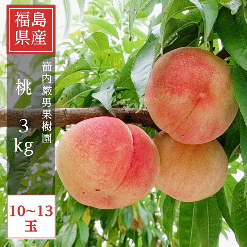 桃 【箭内厳雄果樹園】 もも ３kg　8～13玉 品種おまかせ 福島県 贈答用 《7月下旬～8月上旬から出荷》