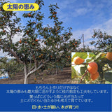 【フルーツファームいしくら】広瀬の柿　富裕柿のドライフルーツ　1袋50ｇ　選べる4～6個　ポスト投函で送料無料