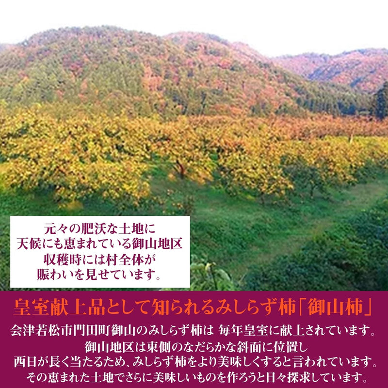 柿 【遠藤みしらず柿園】 みしらず柿 （ 身不知柿 ） 5kg 2L 20～22個 福島県会津 《11/末～12/上旬より出荷》