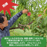 桃 【有我果樹園】 もも 品種色々 ミックス 3kg 8～12玉 贈答用  福島県 須賀川市  プレゼント 予約 《7月下旬～8月上旬から出荷》