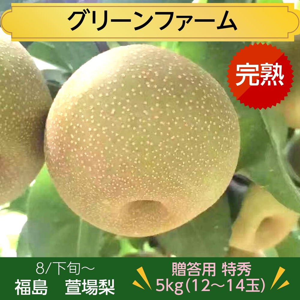 梨 【グリーンファーム】 萱場梨 5kg Lサイズ以上 12～14玉 贈答用