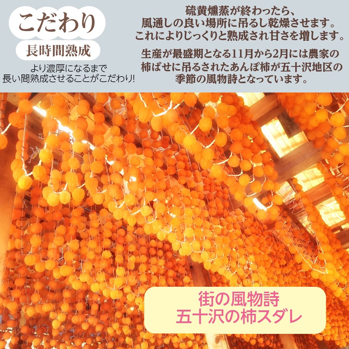 干し柿 【種まきうさぎ】 五十沢 あんぽ柿 1.5kg 大サイズ15個 干し柿 【種まきうさぎ】 五十沢 あんぽ柿 1.5kg 大サイズ15個
