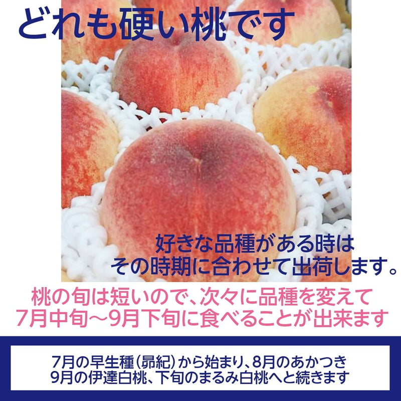 桃 【箭内厳雄果樹園】 もも  5kg　16～22玉 品種おまかせ 福島県 贈答用 《7月下旬～8月上旬から出荷》