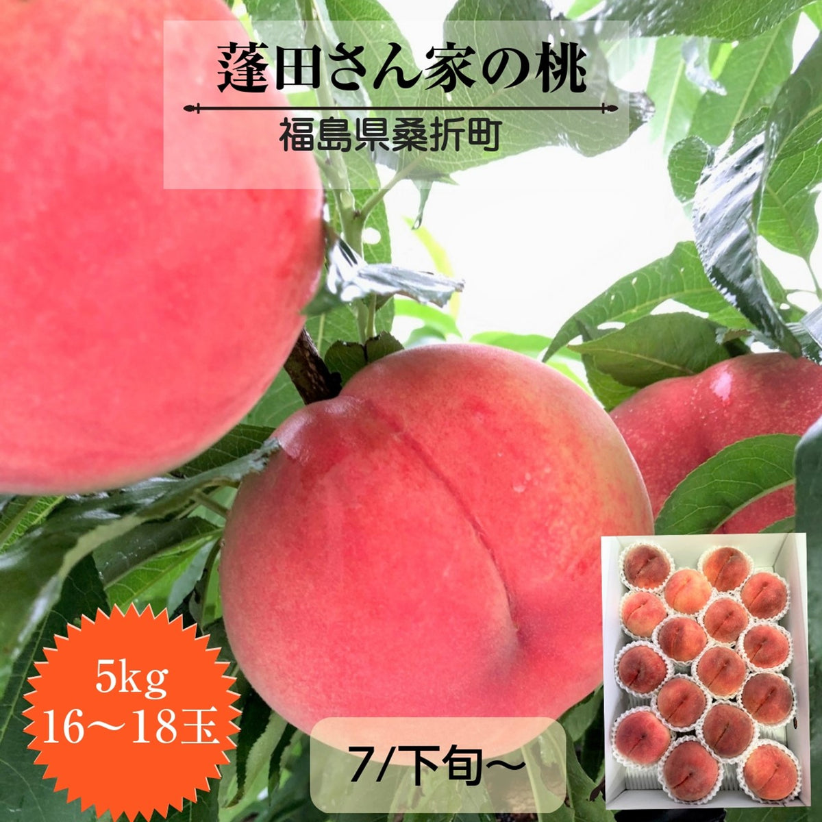 s-_5kg_1c7c98ed-b284-417c-9abc