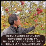 りんご 【有我果樹園】 リンゴ 大玉 12～14個 5kg ぐんま名月 フジ等 贈答用 福島県 須賀川市《11/中旬～11/下旬より出荷》