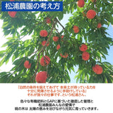桃 【松浦農園】 もも 3kg 11～15個 福島県 国見町 福島の桃 《7/下旬～8/上旬から出荷》