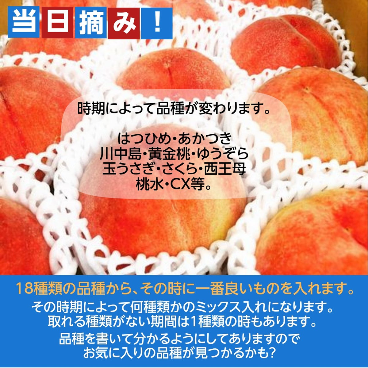 桃 【有我果樹園】 もも 品種色々 ミックス 3kg 8～12玉 贈答用