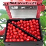 《5月中旬から出荷》【一愛農園】さくらんぼ 佐藤錦 透明化粧箱 500g 特秀L  贈答 父の日 誕生日等