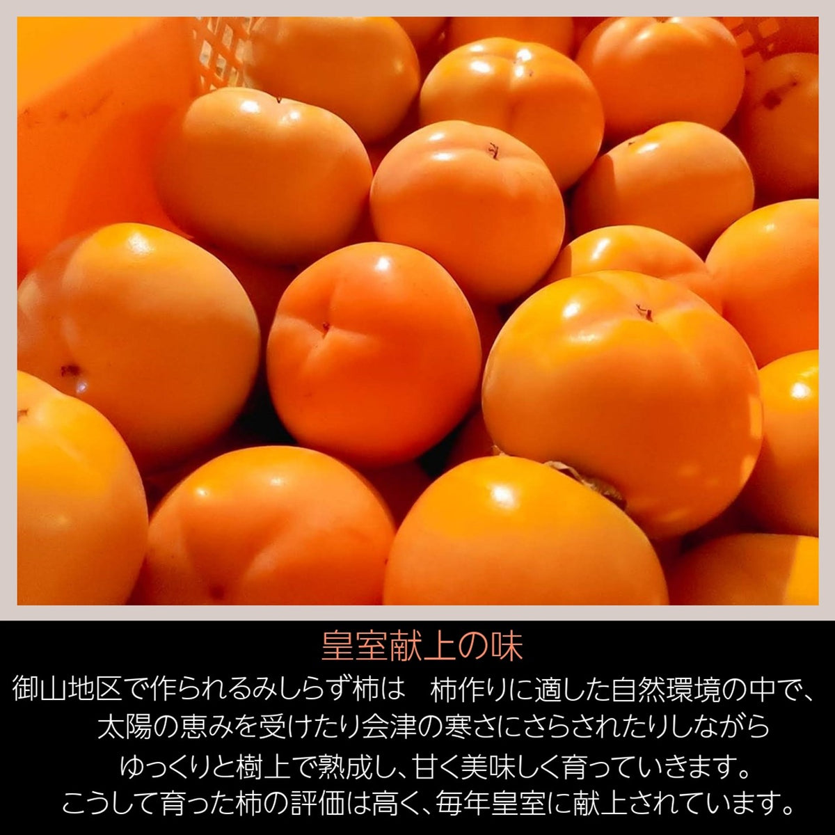 柿 【遠藤みしらず柿園】 みしらず柿 （ 身不知柿 ） 2.5kg 2L