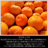柿 【遠藤みしらず柿園】 みしらず柿 （ 身不知柿 ） 5kg 2L 20～22個 ...