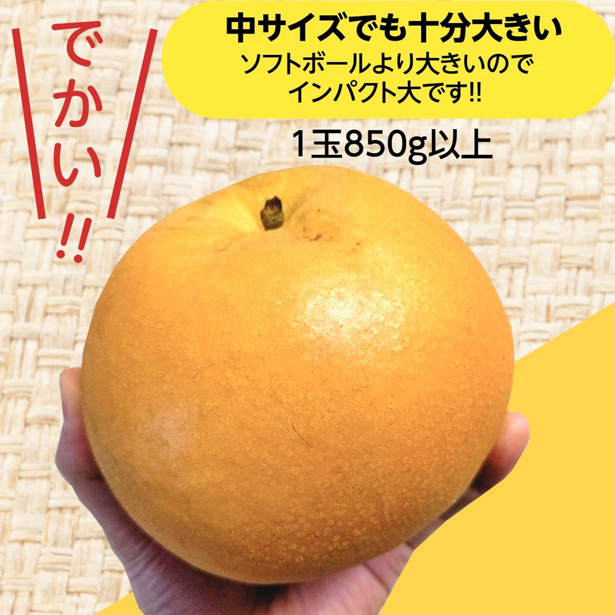 梨 【乙連沢梨園】大きい にっこり 中サイズ 2.5kg (800g×3個