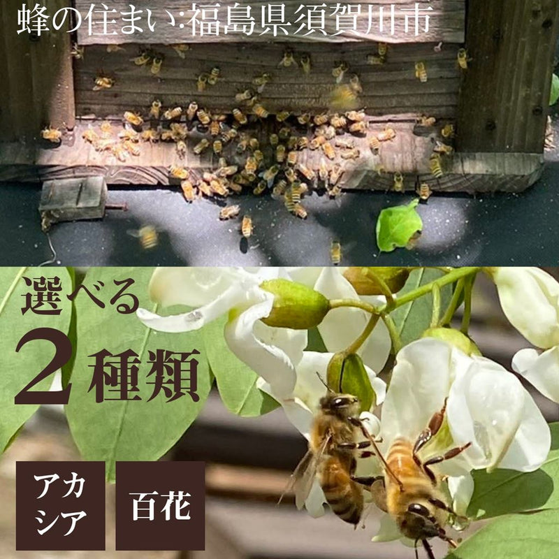 天然の純粋蜂蜜　アカシア・百花蜜　300ｇ×２本入り 福島県