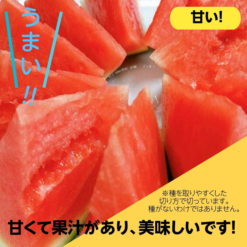 スイカ 小玉スイカ 【高橋農園】ひとりじめBONBON 2玉 4〜5kg