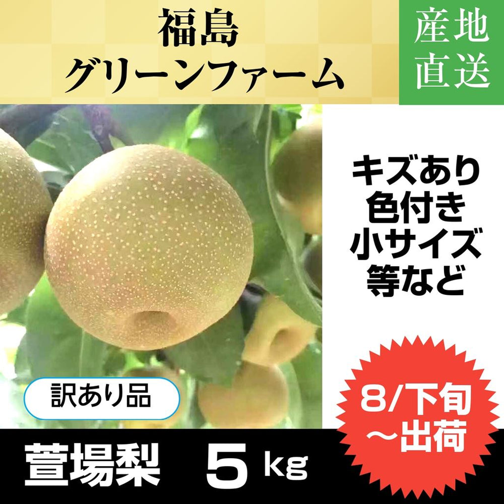 梨 【グリーンファーム】 萱場梨 訳あり 家庭用 5kg 9～20玉 福島県