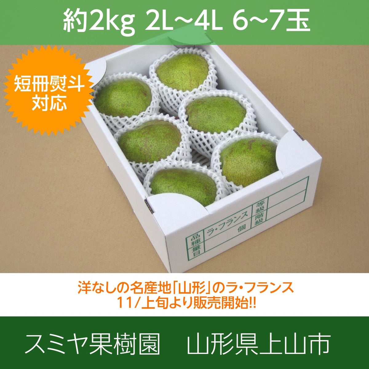 洋梨オブジェ フェイクフルーツ ラフランス 12個 洋ナシ（ラ・フランス