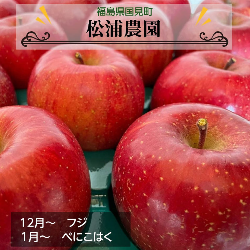 りんご 【松浦農園】 リンゴ ふじ べにこはく 5kg 15～18個 贈答用 福島県 国見町 《12/上旬より出荷》
