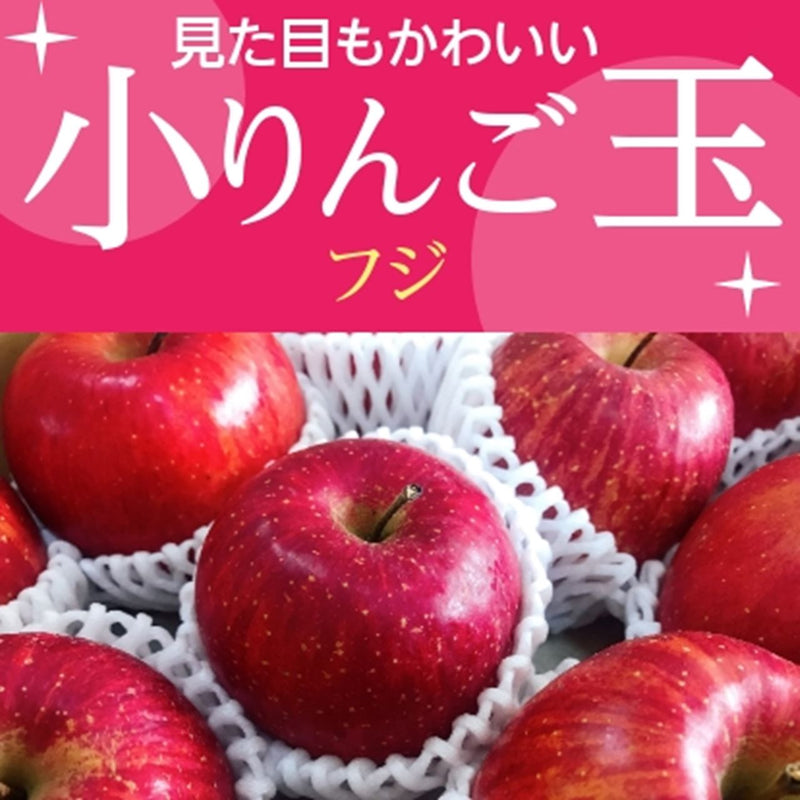 りんご 【ひかりグループ】 小玉リンゴ 毎日ちびリンゴ ミニサイズ 1 
