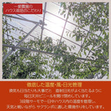 《4月中旬より出荷》【一愛農園】さくらんぼ 佐藤錦 150g チョコ箱 特秀 Lサイズ 贈答 母の日 山形県東根市