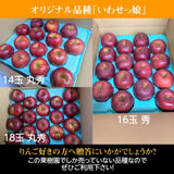 【ふんどのりんごや】りんご　いわせっ娘　5kg 中玉18個　丸秀　 福島県須賀川