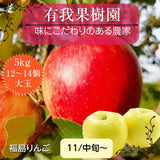 りんご 【有我果樹園】 リンゴ 大玉 12～14個 5kg ぐんま名月 フジ等 贈答用 福島県 須賀川市《11/中旬～11/下旬より出荷》