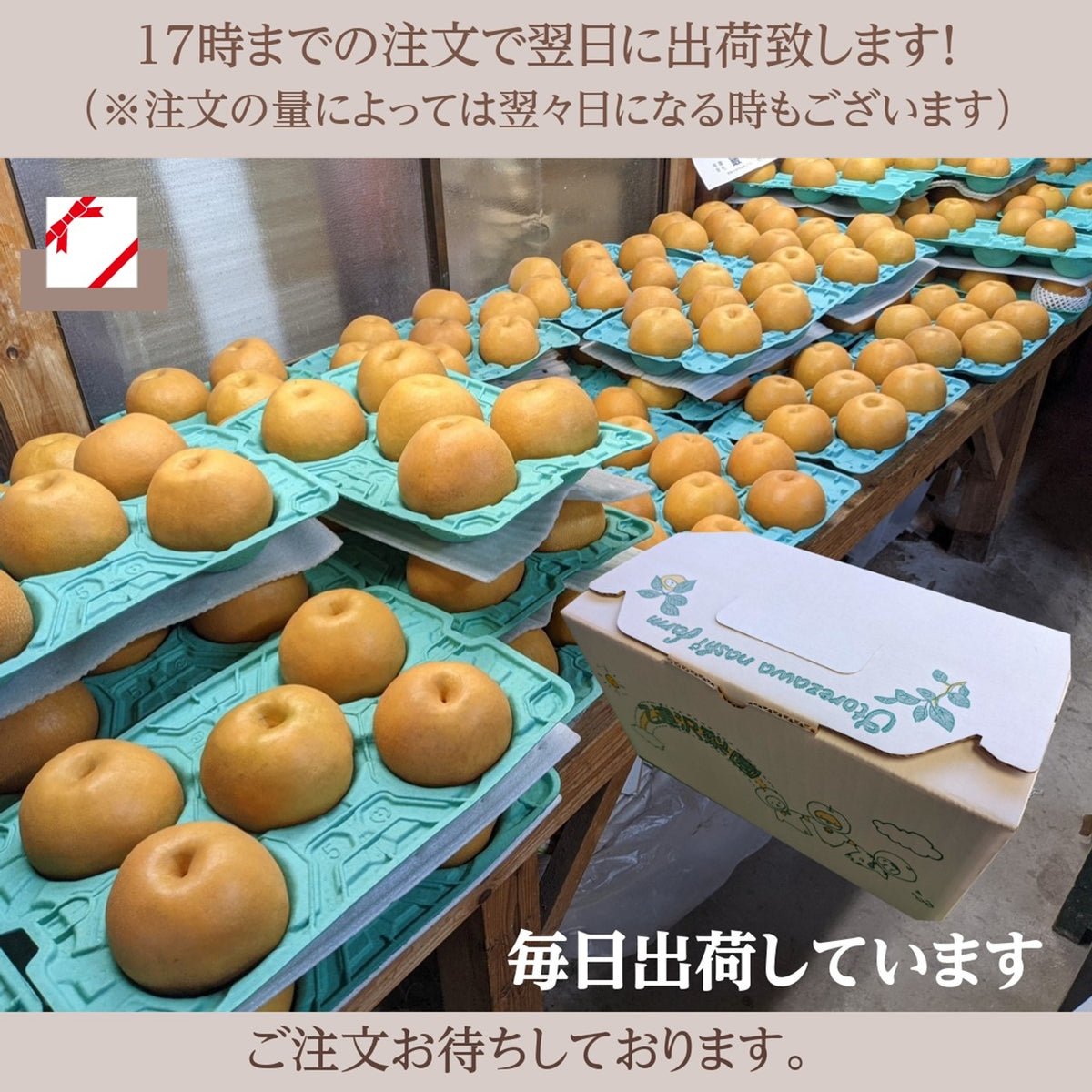 アンジェラ様2箱にっこり梨梨