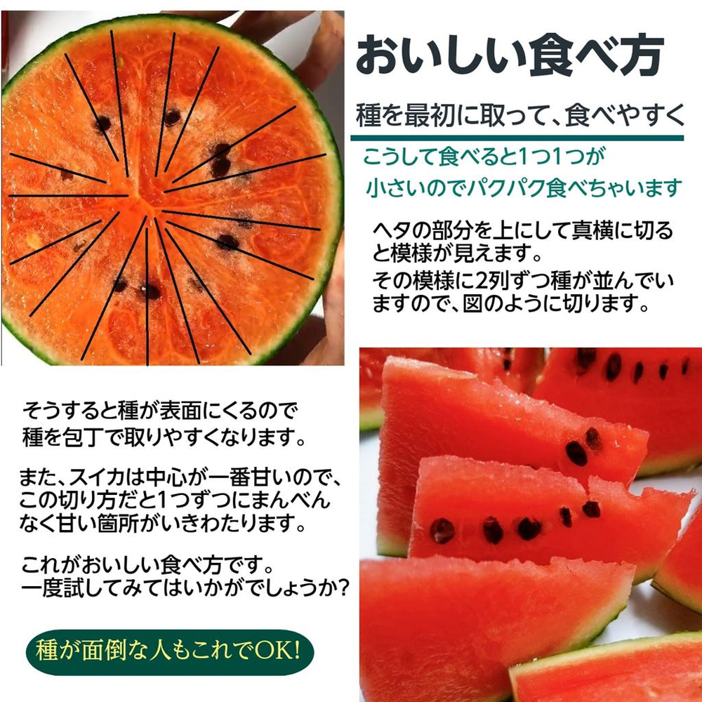 スイカ 小玉スイカ 【高橋農園】ひとりじめBONBON 2玉 4〜5kg