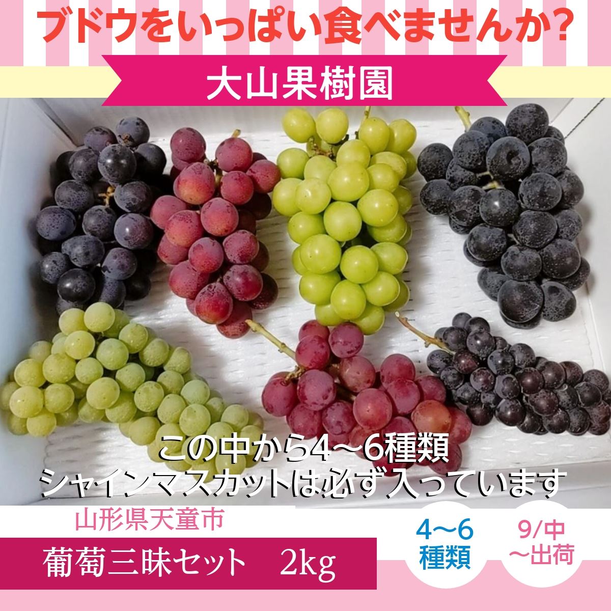 ぶどう 【大山果樹園】 葡萄 詰め合わせ ぶどう三昧セット