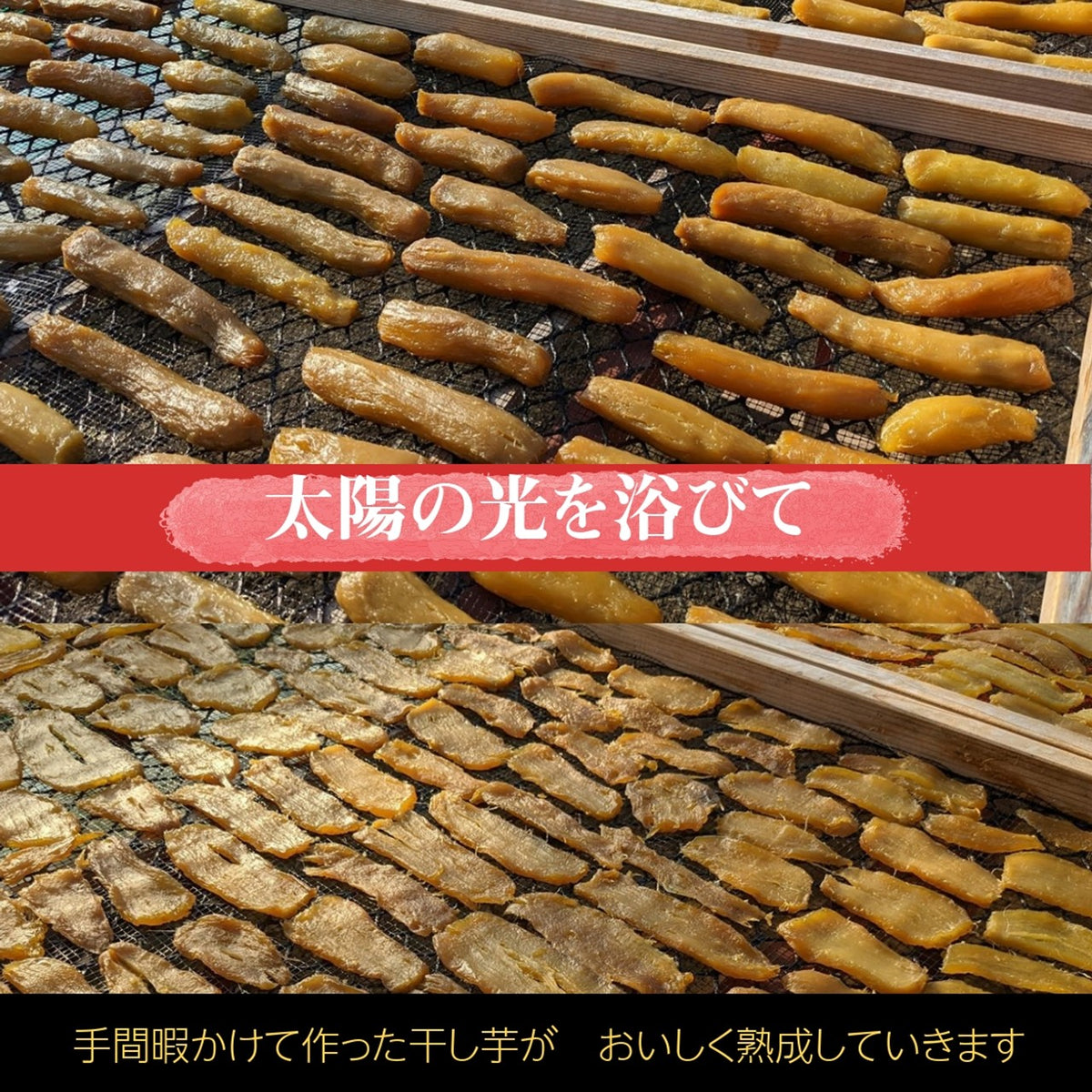 藤田ファーム】 干し芋 平干し 3kg (1kg×3袋) 天日干し 茨城県
