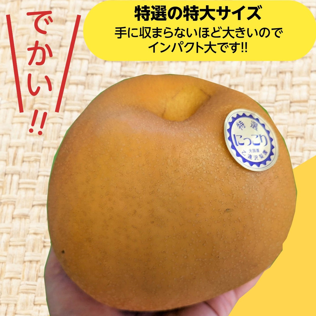 梨 【 乙連沢梨園 】大きい にっこり 1.8kg (900g×2個) 贈答用