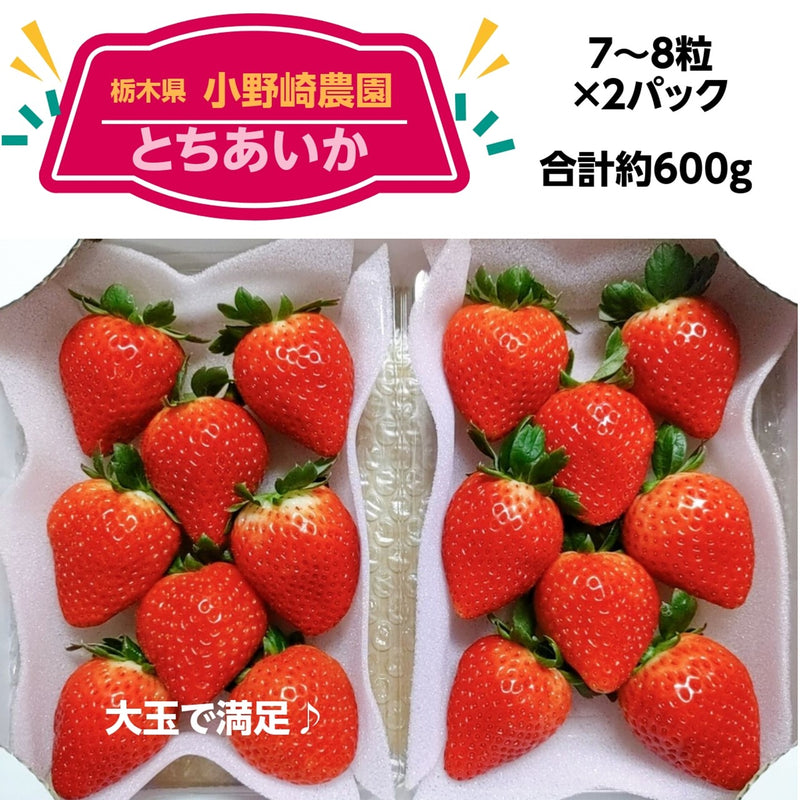 いちご 【小野崎農園】 とちあいか 平パック14～20粒（大玉7～10個×2パック）約600g　栃木県