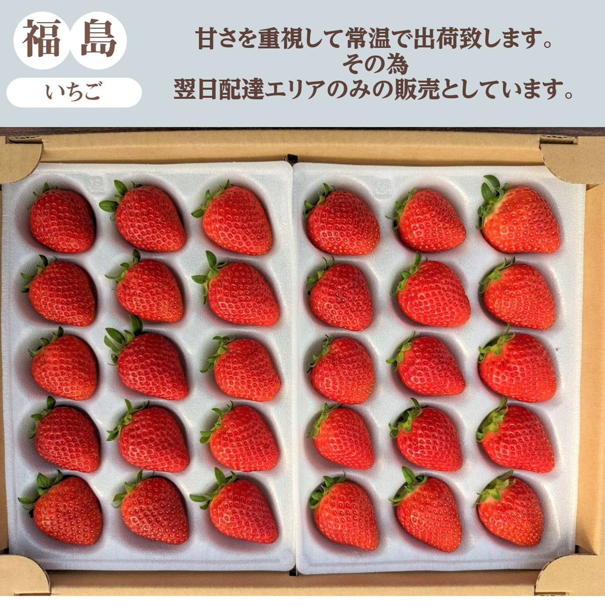 ふるや農園】苺 とちおとめ 中玉40粒(20粒×2パック) 翌日配送エリア ふるや農園】苺 とちおとめ 中玉40粒(20粒×2パック) 翌日配送エリア