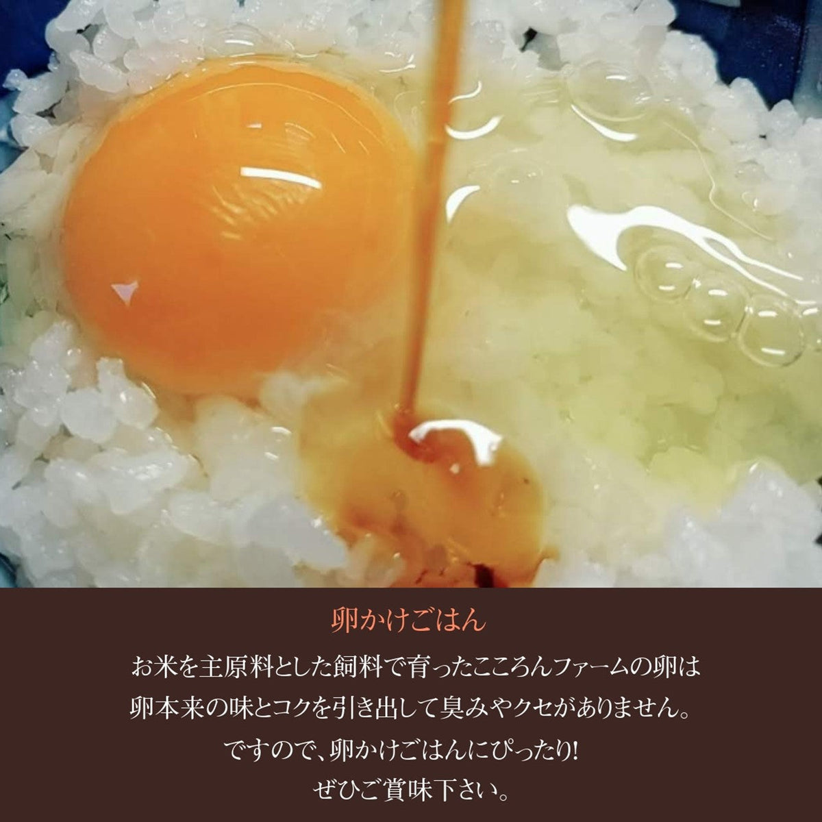 平飼い卵 【こころんファーム養鶏場】 卵 たまご ここたま 40個 朝取