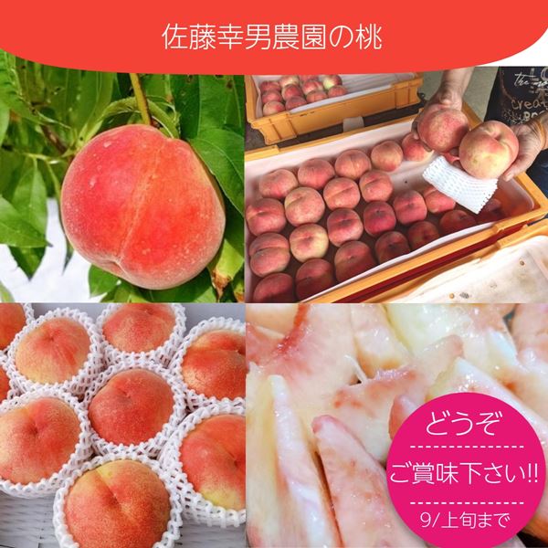 新鮮な桃（葉付き）箱入り 5キロ 新鮮な桃（葉付き）箱入り 5キロ 楽天市場】桃 山梨5キロの通販