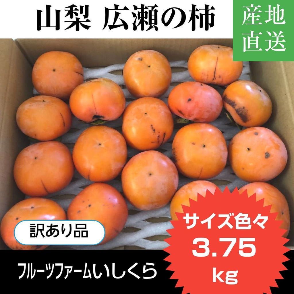 柿 甘柿 【フルーツファームいしくら】富有柿 広瀬の柿 3.75kg 訳