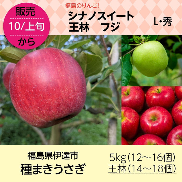 りんご　5ｋｇ　贈答・ギフト用　Ｌサイズ秀　12～16玉（王林14～18玉）