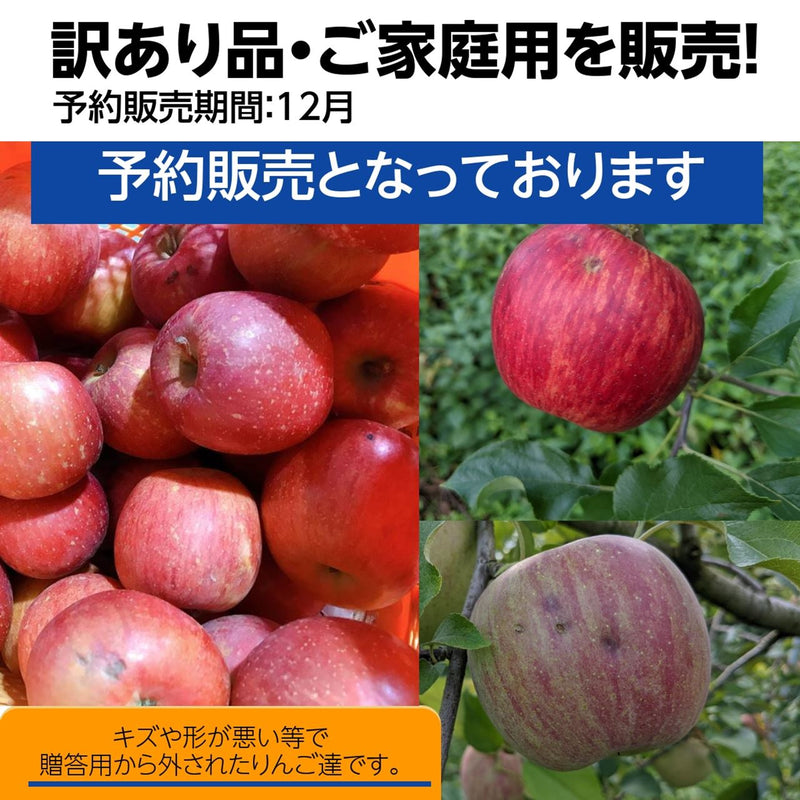 りんご　5ｋｇ フジ　Ｌサイズ12～16玉　家庭用・訳あり　福島県