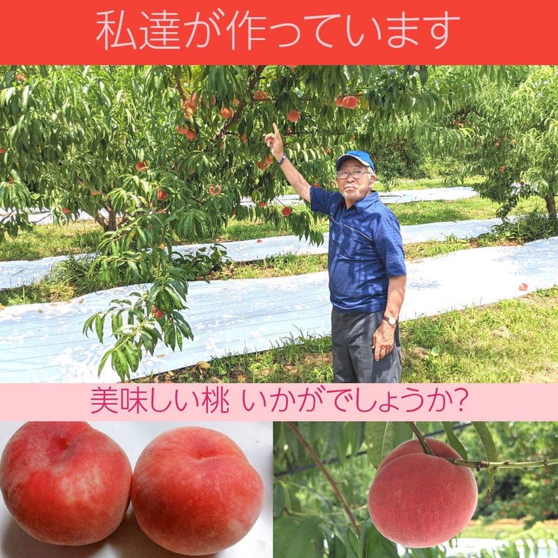 【種まきうさぎ】硬い 桃 おどろき 5kg（13～18個） 福島県伊達市《2023年7月下旬～8上旬出荷》