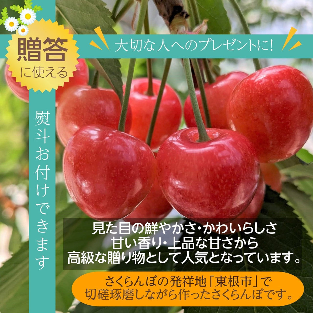 さくらんぼ 【一愛農園】 佐藤錦 700g 秀 2L 山形県東根市《6/中旬～6