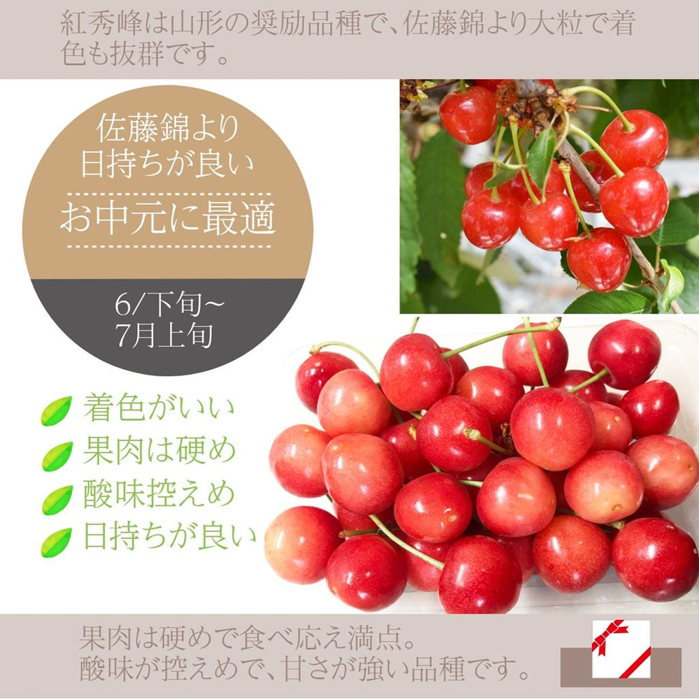 さくらんぼ 【鈴木農園】 紅秀峰 1kg L～2L 贈答 山形県東根市