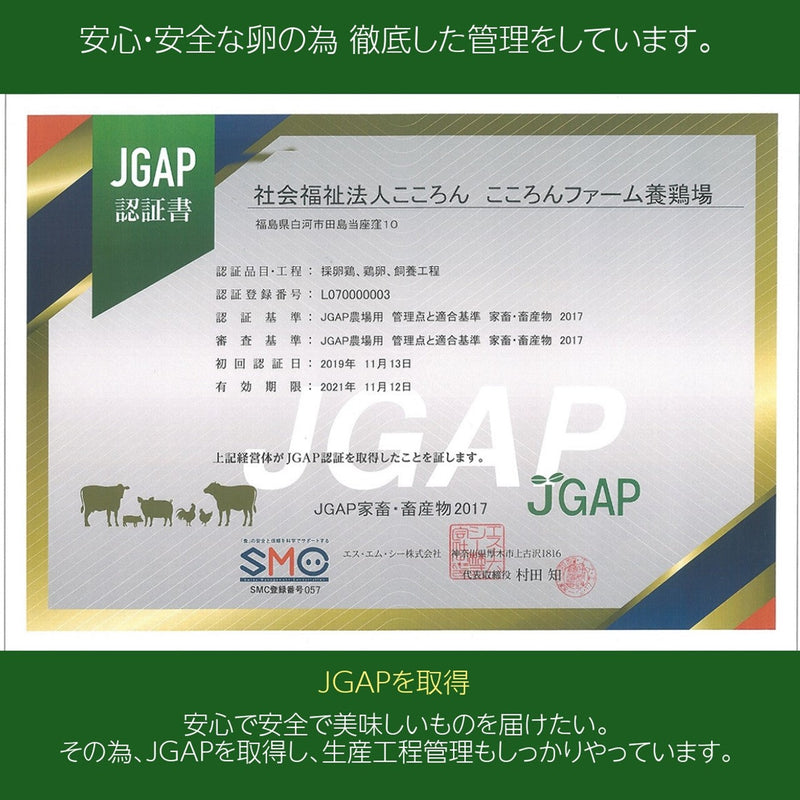 平飼い卵 【こころんファーム養鶏場】 卵 たまご ここたま 50個 朝取 M L LL サイズ混合 JGAP 自家配合飼料 地下水 福島県 平飼